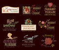 Set of retro Beauty salon Spa logo, labels and badges.