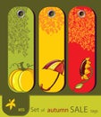 Set of retro sale nature autumn tags Royalty Free Stock Photo