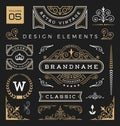 Set of retro vintage graphic design elements