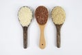 Set of rice collection on ladle isolated on white background Royalty Free Stock Photo