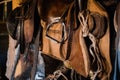 A set of riding equipment in a wooden stable at the equestrian club Royalty Free Stock Photo