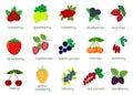 Set of ripe berries collection, mega icon of fifteen elements on a white background with text. For your design cards