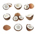 Set of ripe coconuts isolated Royalty Free Stock Photo