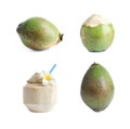 Set of ripe coconuts isolated Royalty Free Stock Photo