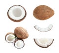 Set of ripe coconuts isolated Royalty Free Stock Photo