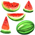 Set of ripe fresh watermelon isolated, watercolor illustration on white