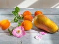 Set of ripe fruits, apricots and pear on a blue background with flowers of pink wild rose Royalty Free Stock Photo