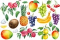 Set ripe fruits, orange, banana, coconut, sweet, mango, grapes, pomegranates and pineapple. Watercolor illustration