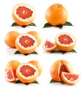 Set of Ripe Grapefruit Fruits Isolated on White Royalty Free Stock Photo