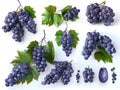 Set of ripe grapes with leaves in high resolution Royalty Free Stock Photo