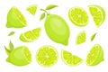 A set of ripe, juicy green limes. Whole lime, cut in half, slices and pieces of ripe fruit. Royalty Free Stock Photo