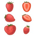 Set of ripe juicy strawberries. Whole berry fruits and slices of different shapes.