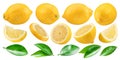 Set of ripe lemon fruits, lemon leaves and variety of lemon slices on white background. File contains clipping path.s Royalty Free Stock Photo