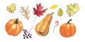 Set Ripe pumpkin, maple, oak, poplar leaves and berries watercolor isolated on white. Hand drawn illustration for design Royalty Free Stock Photo