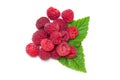 Set of Ripe raspbarry Royalty Free Stock Photo