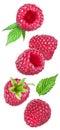 Set of ripe raspberries isolated on white background. Royalty Free Stock Photo