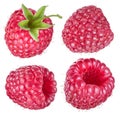 Set of ripe raspberries on white background. Royalty Free Stock Photo