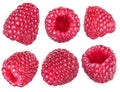 Set of ripe raspberries on white background. Royalty Free Stock Photo