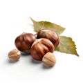 Set of a ripe raw organic hazelnuts whole and sliced and opened and a dry leaves on white background Generative AI Illustration Royalty Free Stock Photo