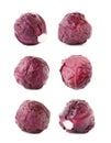 Set of ripe red cabbages isolated Royalty Free Stock Photo