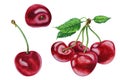 Set of ripe red cherries, hand drawn watercolor Royalty Free Stock Photo