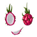 Set of ripe red dragon fruit isolated on white background. Whole, half and slice pitahaya Royalty Free Stock Photo