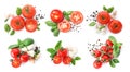 Set of ripe red tomatoes, mozzarella balls, garlic and peppers mix on white background, top view Royalty Free Stock Photo