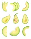 Set with ripe sliced avocados