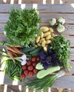 Set of ripe summer vegetables. vitamin healthy food.