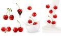 Set of ripe sweet cherries with leaves and splash of milk.