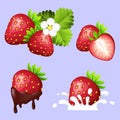 Set of ripe sweet strawberry with flowing chocolate, splash of cream, leaves and flower