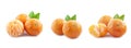 Set of ripe tangerines