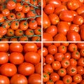 Set of ripe tomato backgrounds