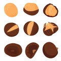 A set of roasted chestnuts vector stock illustration. Street fast food.