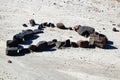 A set of rocks in the shape of a heart in the dried mud Royalty Free Stock Photo