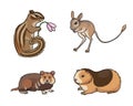 Set #1 of rodents - vector illustration