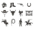 Set rodeo icons