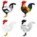 Set of roosters