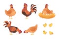 Set of roosters, hens and chicks cartoon. Royalty Free Stock Photo