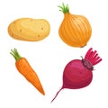 Set of root vegetables. Potato, onion, carrot and beet. Cartoon simple design vector illustrations. Fresh farm veggies isolated on