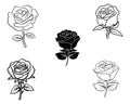 Set Rose Flower Hand Drawn Vector illustration On White Background