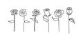 Set of rose flowers continuous line drawing. Contour single one hand drawn minimalism pack collections