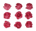 Set of rosebuds isolated on white background