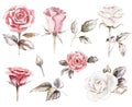 set of roses cliparts