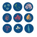 Set of round blue icons with autumn leaves for design highlights in social media, multicolored leaf stamps