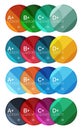 Set of round option diagram template for your data or options Royalty Free Stock Photo