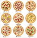 Set of round pizzas Royalty Free Stock Photo