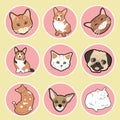 A set of round stickers with cute pets - cats and dogs corgi, pug, chihuahua. stickers for laptop, icons for websites and applic