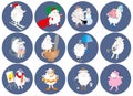 Set of round stickers with a picture of a sheep. vector graphics