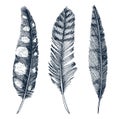 Set Of Rustic Realistic Feathers Of Different Birds, Owls, Peacocks, Ducks. Engraved Hand Drawn In Old Vintage Sketch